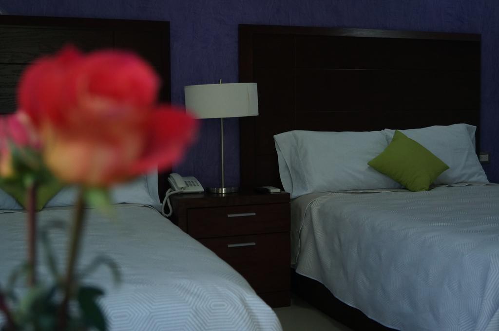 Hotel Casa Palomino Mérida Exterior photo
