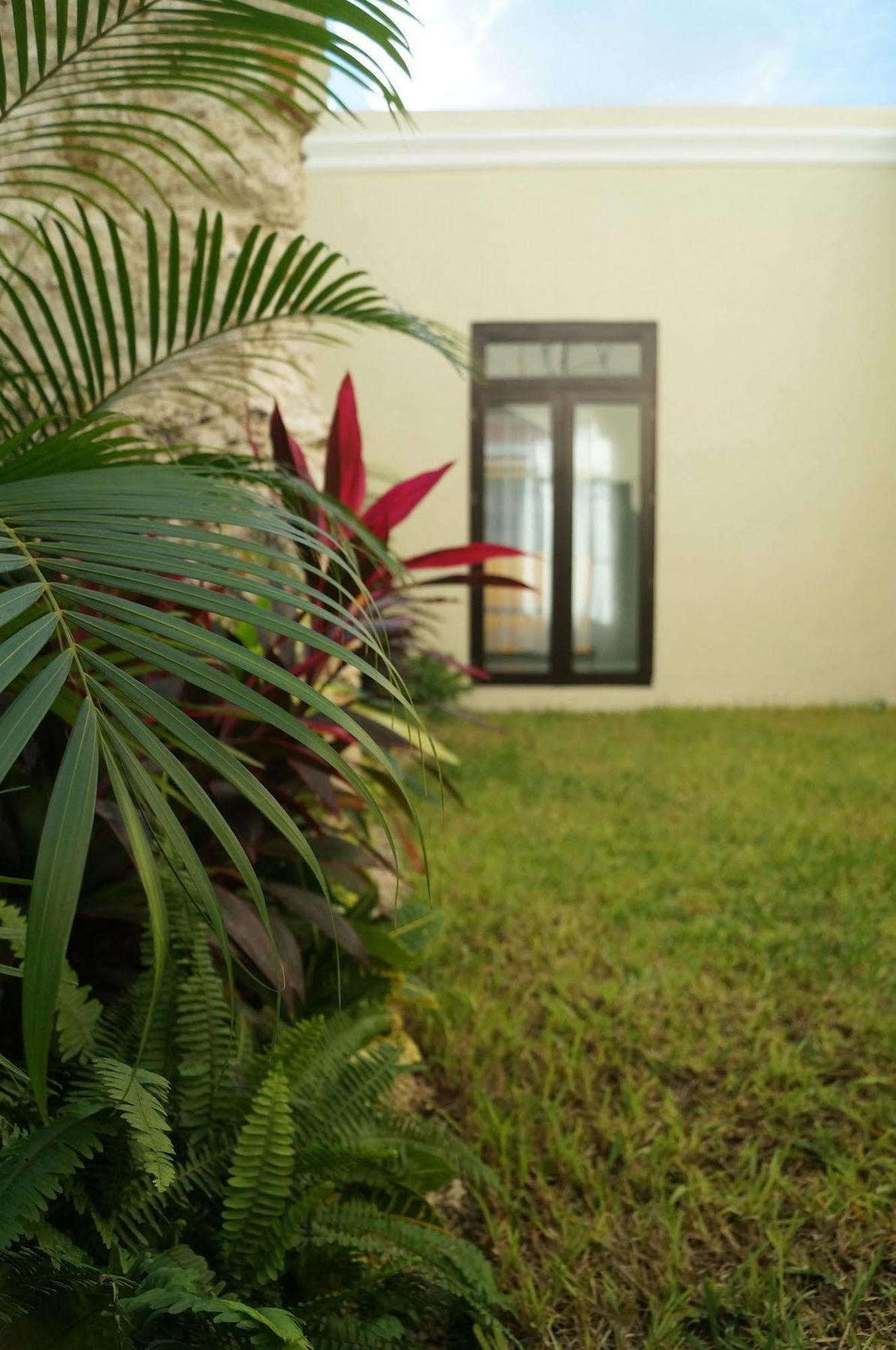 Hotel Casa Palomino Mérida Exterior photo