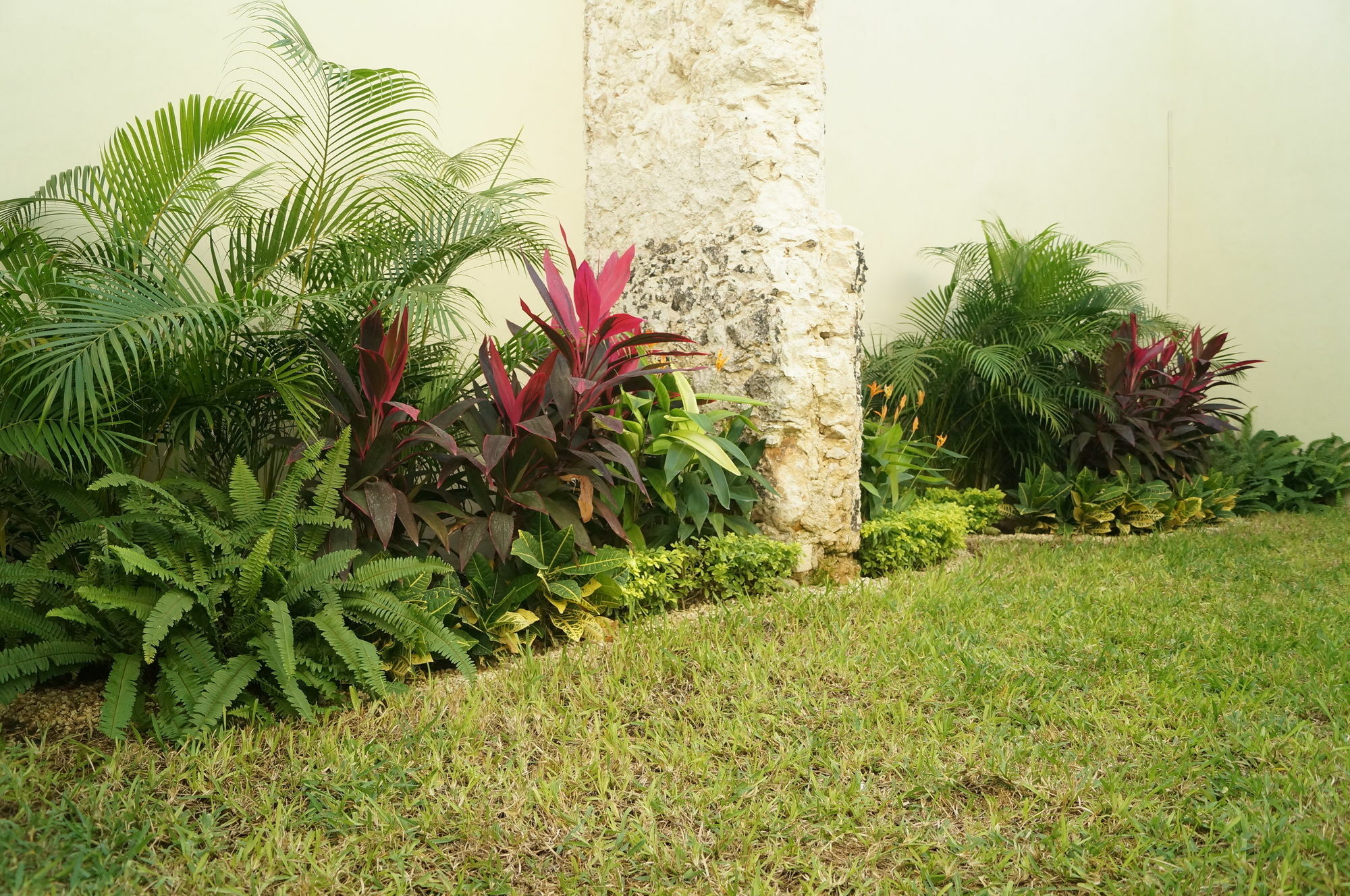 Hotel Casa Palomino Mérida Exterior photo