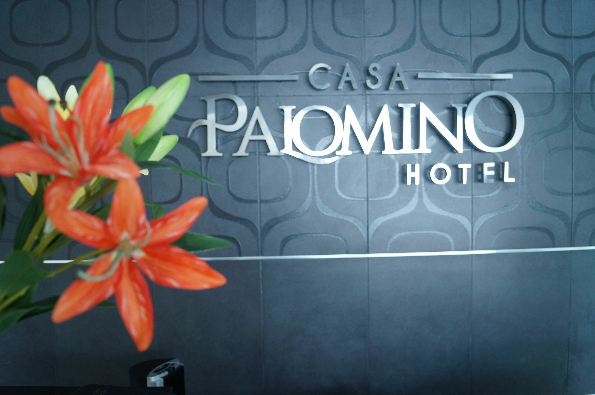 Hotel Casa Palomino Mérida Exterior photo